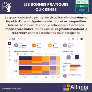 Bonne pratique Qlik- Définition Graphique Mekko