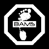 BAMS : Bouge A Montmerle-sur-Saoône